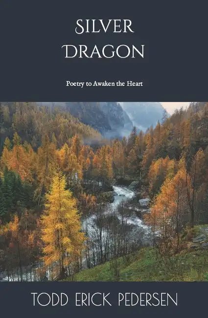 Silver Dragon - Paperback
