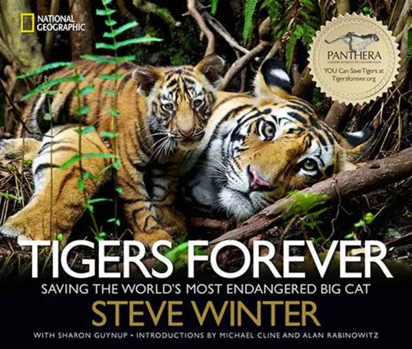 Tigers Forever: Saving the World's Most Endangered Big Cat - Hardcover