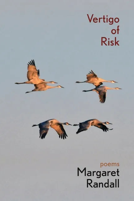 Vertigo of Risk - Paperback