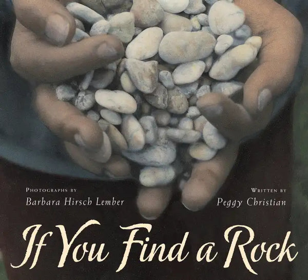 If You Find a Rock - Paperback
