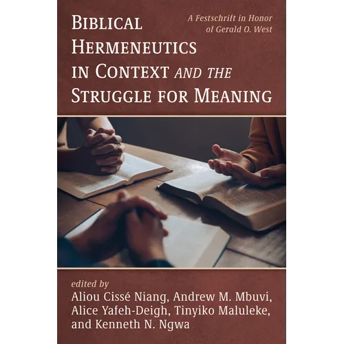 Biblical Hermeneutics in Context and the Struggle for Meaning - Paperback