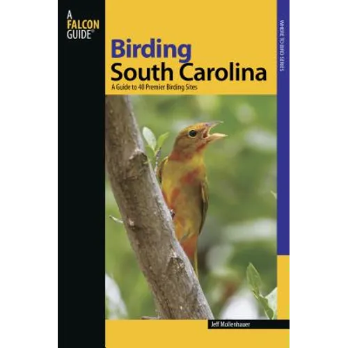 Birding South Carolina - Paperback