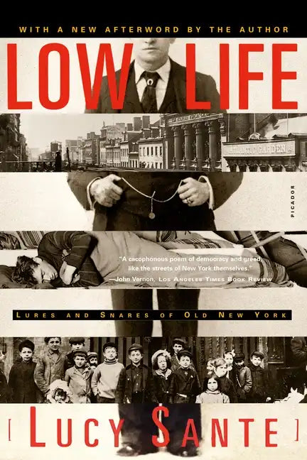 Low Life: Lures and Snares of Old New York - Paperback