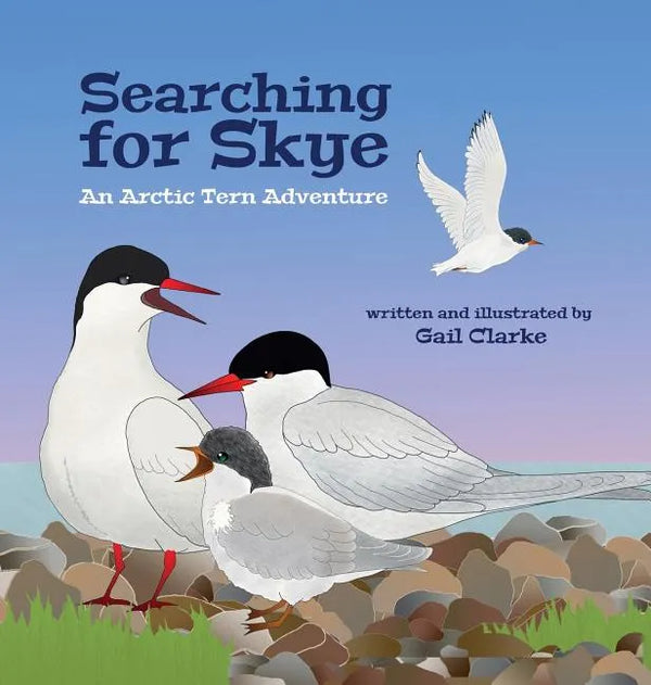 Searching for Skye: An Arctic Tern Adventure - Hardcover