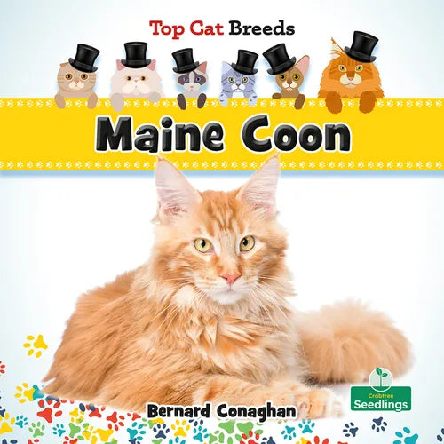 Maine Coon - Hardcover
