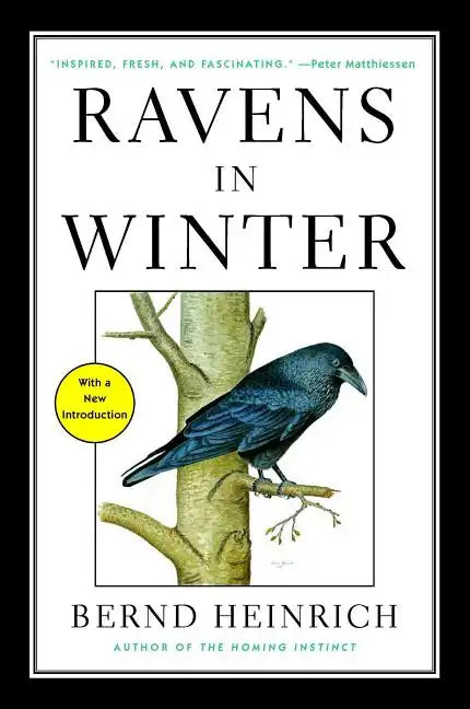 Ravens in Winter - Paperback