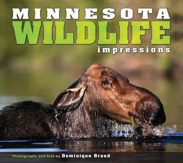 Minnesota Wildlife Impressions - Paperback