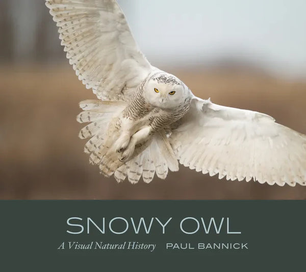 Snowy Owl: A Visual Natural History - Hardcover
