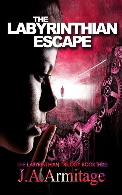 The Labyrinthian Escape - Paperback