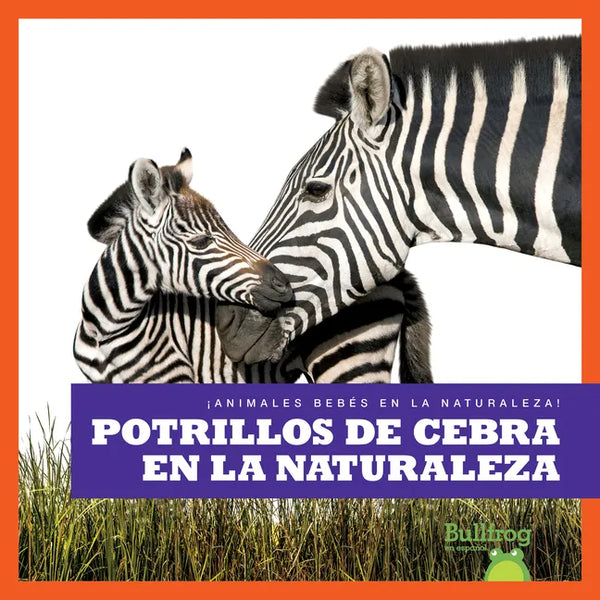 Potrillos de Cebra En La Naturaleza (Zebra Foals in the Wild) - Library Binding