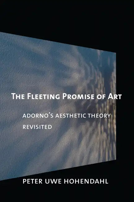 The Fleeting Promise of Art - Paperback