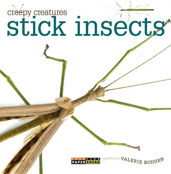 Stick Insects - Paperback