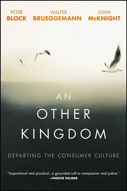 An Other Kingdom: Departing the Consumer Culture - Paperback