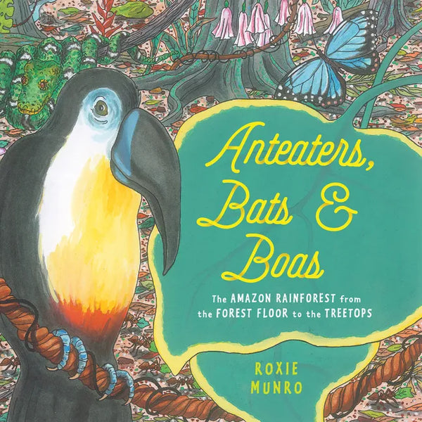Anteaters, Bats & Boas: The Amazon Rainforest from the Forest Floor to the Treetops - Hardcover
