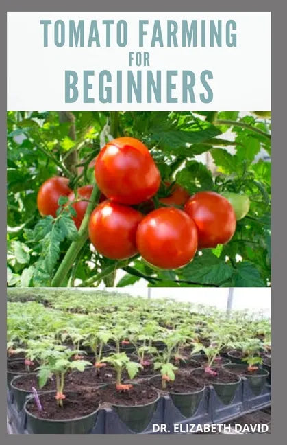 Tomato Farming for Beginners: Beginners Guide To Growing Tomatoes: Easy Step By Step Guide From Seed To Harvest - Paperback
