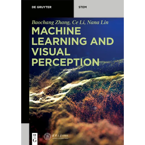 Machine Learning and Visual Perception - Paperback