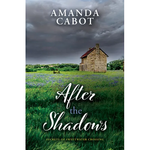 After the Shadows - Library Binding
