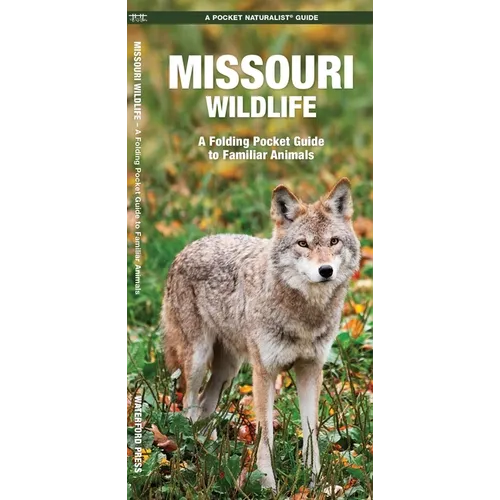 Missouri Wildlife: A Folding Pocket Guide to Familiar Animals - Hardcover