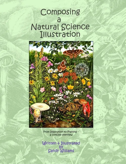 Composing a Natural Science Illustration: From Inspiration to Framing - Paperback