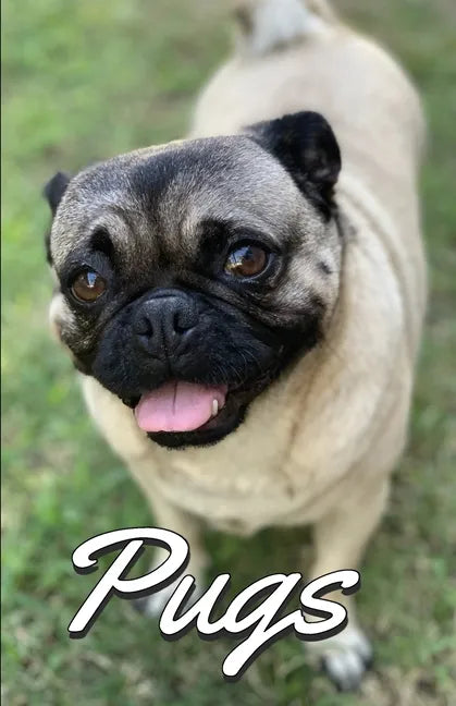 Pugs Photo Book for Writing and Note Taking: Writing Pad with Pug Pictures, Dog Lover Gifts - Paperback