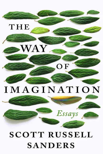 The Way of Imagination: Essays - Paperback