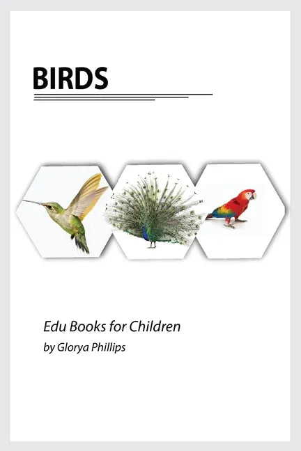 Birds: Montessori real birds book, bits of intelligence for baby and toddler, children's book, learning resources. - Paperback