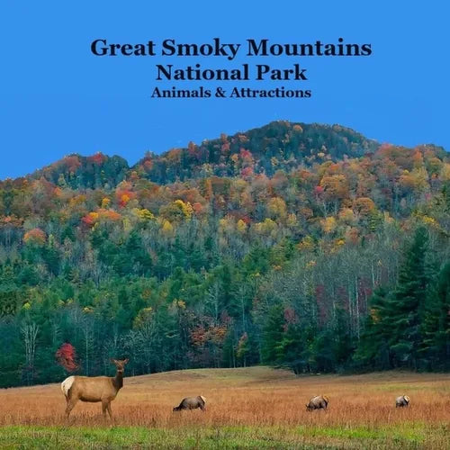 Great Smoky Mountains National Park Kids Book: Great Way for Kids to See the Animals and Attractions in Smoky Mountains National Park - Paperback
