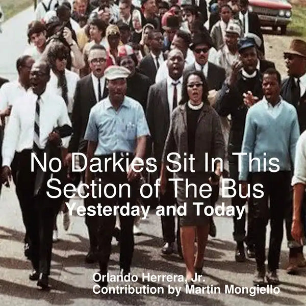 No Darkies Sit In This Section of The Bus: Yesterday and Today - Paperback