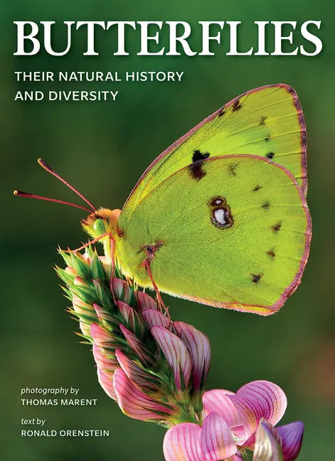 Butterflies: Their Natural History and Diversity - Paperback