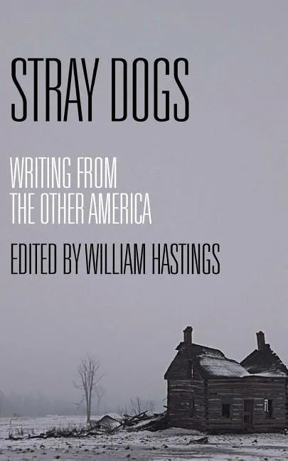 Stray Dogs: Writing from the Other America - Paperback