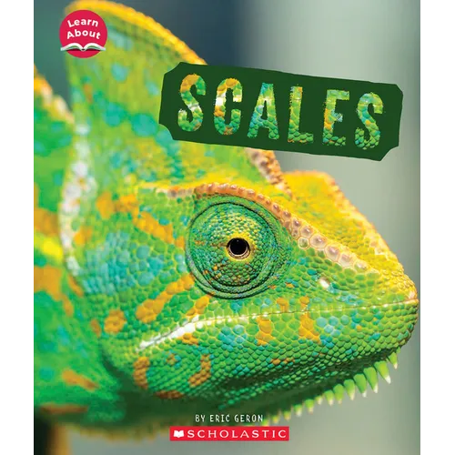 Scales (Learn About: Animal Coverings) - Paperback