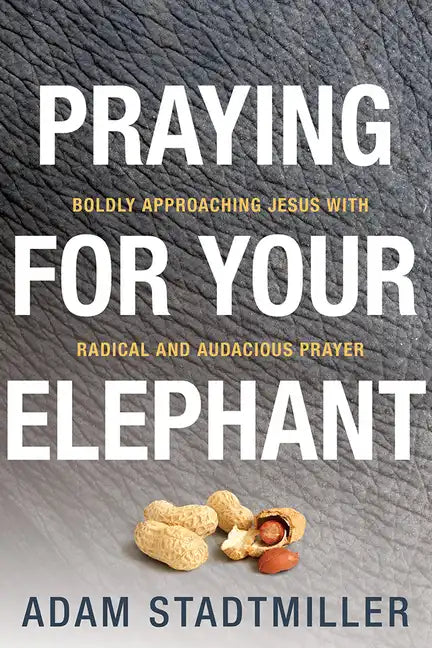 Praying for Your Elephant: Boldly Approaching Jesus with Radical and Audacious Prayer - Paperback