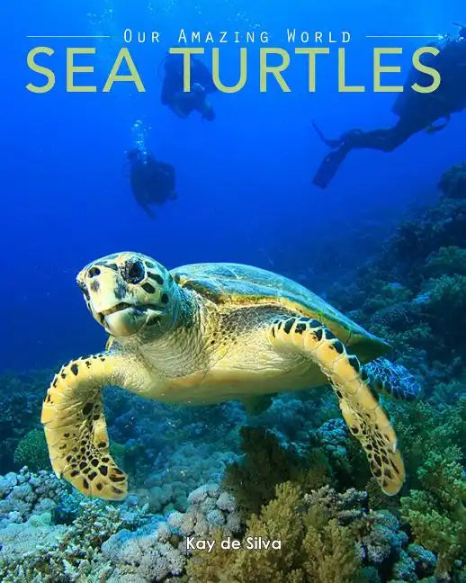 Sea Turtles: Amazing Pictures & Fun Facts on Animals in Nature - Paperback