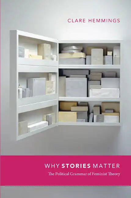 Why Stories Matter: The Political Grammar of Feminist Theory - Paperback