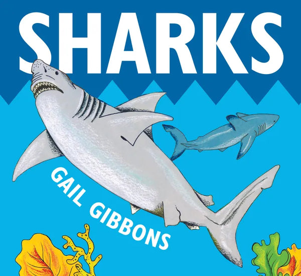 Sharks - Board Book