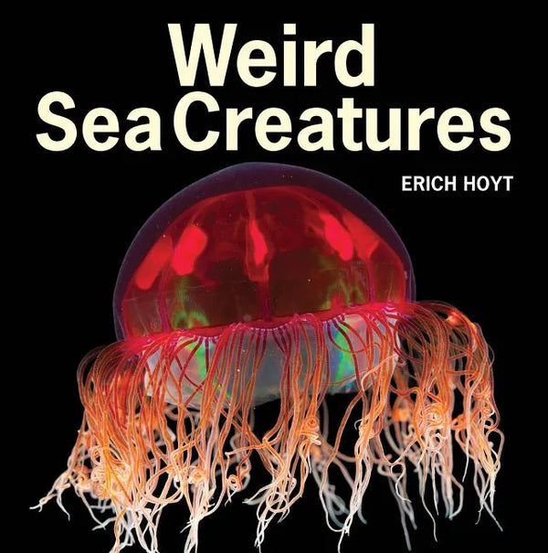 Weird Sea Creatures - Paperback