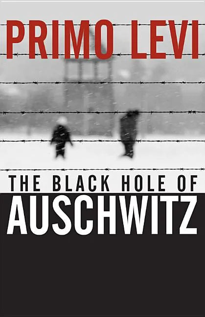 The Black Hole of Auschwitz - Paperback