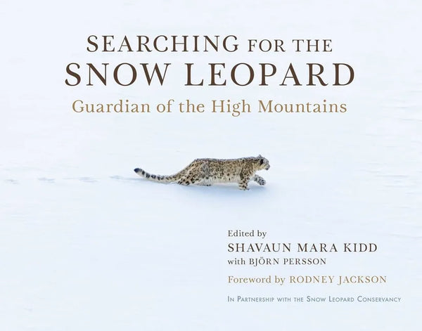 Searching for the Snow Leopard: Guardian of the High Mountains - Hardcover