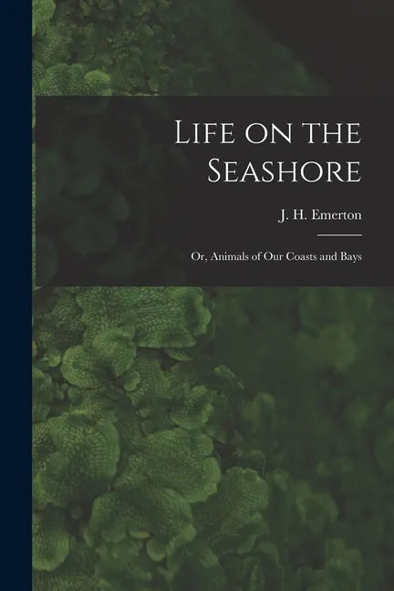 Life on the Seashore: or, Animals of Our Coasts and Bays - Paperback