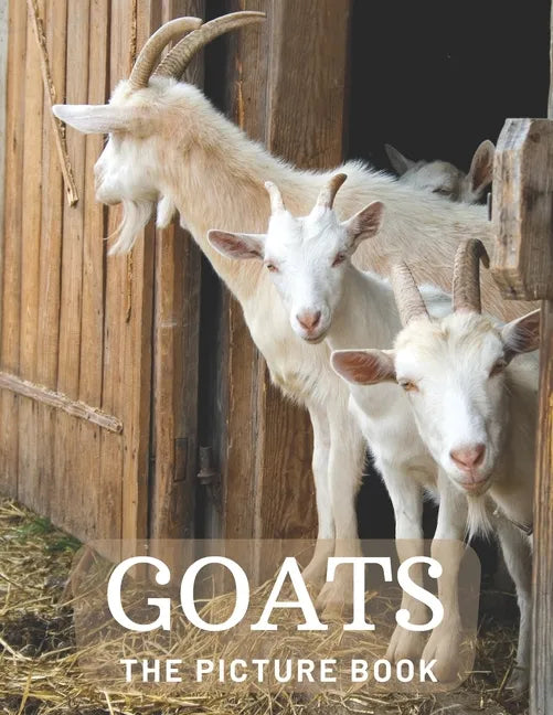 Goats: The Picture Book of Beautiful Goats for Kids, Alzheimer's Seniors with Dementia. - Paperback