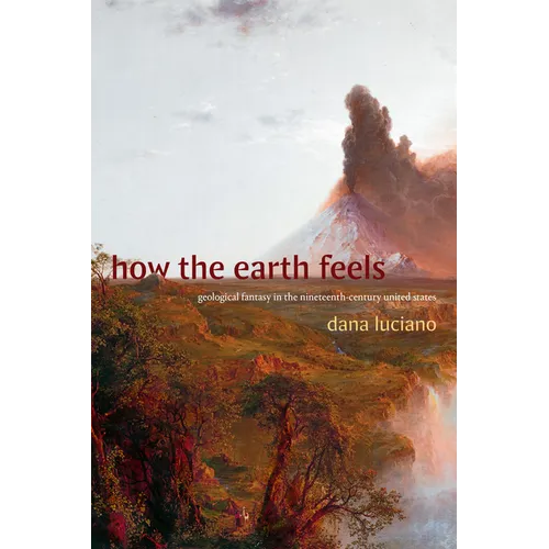 How the Earth Feels: Geological Fantasy in the Nineteenth-Century United States - Paperback