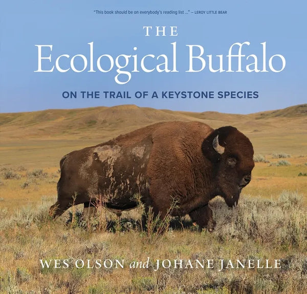 The Ecological Buffalo: On the Trail of a Keystone Species - Paperback