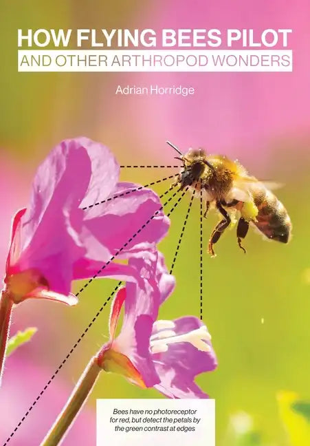 How Flying Bees Pilot, and other arthropod wonders - Paperback