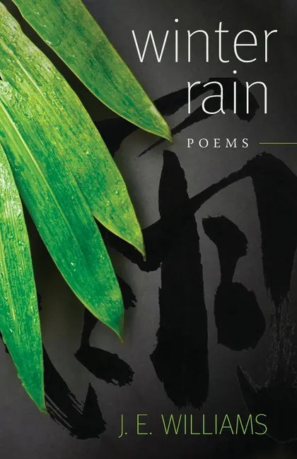 Winter Rain: Poems - Paperback