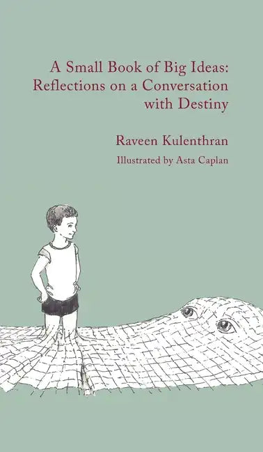 A Small Book of Big Ideas: Reflections on a Conversation with Destiny - Hardcover