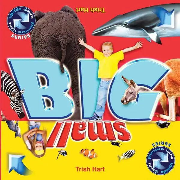 BIG and SMALL: A concept picture book for children - Paperback