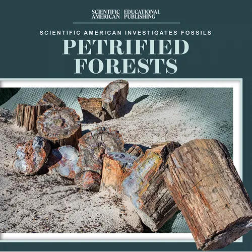 Petrified Forests - Library Binding