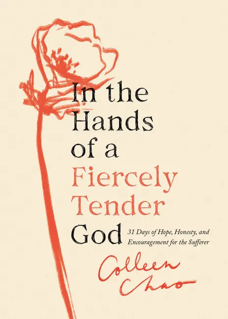 In the Hands of a Fiercely Tender God: 31 Days of Hope, Honesty, and Encouragement for the Sufferer - Paperback