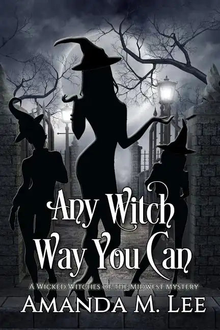 Any Witch Way You Can - Paperback
