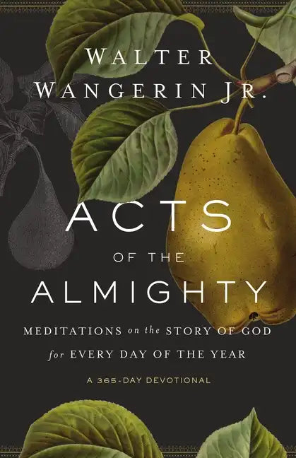 Acts of the Almighty: Meditations on the Story of God for Every Day of the Year - Paperback